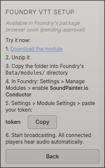 SoundPainter's Foundry VTT setup panel showing the Copy Token button